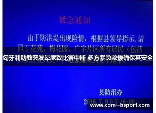 匈牙利助教突发晕厥致比赛中断 多方紧急救援确保其安全