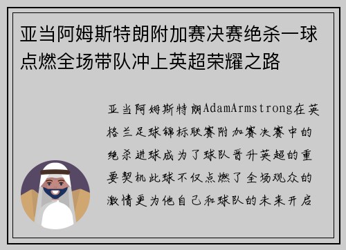 亚当阿姆斯特朗附加赛决赛绝杀一球点燃全场带队冲上英超荣耀之路